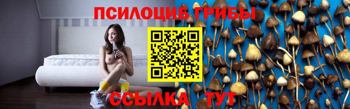 Галлюциногенные грибы мухоморы Великие Луки