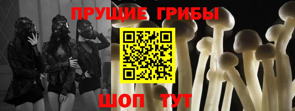 Галлюциногенные грибы мицелий  как найти закладки  Вход с VPN  Великие Луки  Псилоцибиновые грибы GOLDEN TEACHER 